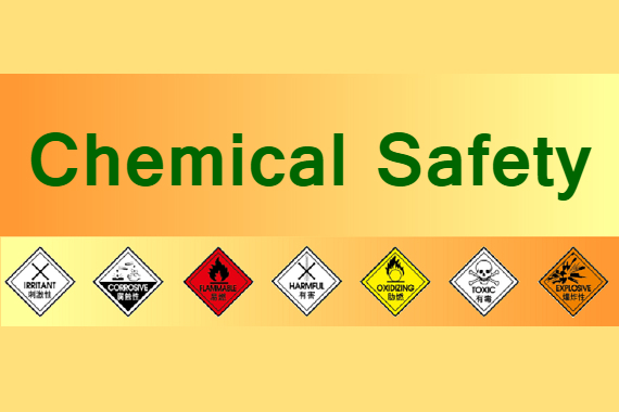Safety Guide